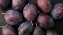 Huile de prune bio, l’indispensable